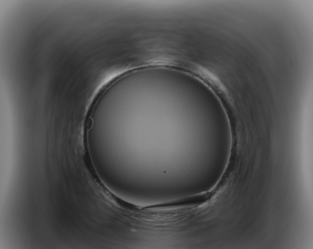 X0000086751174200704201719