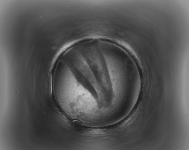 X0000086751175200704201719