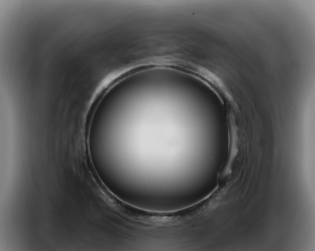 X0000086751176200704201719