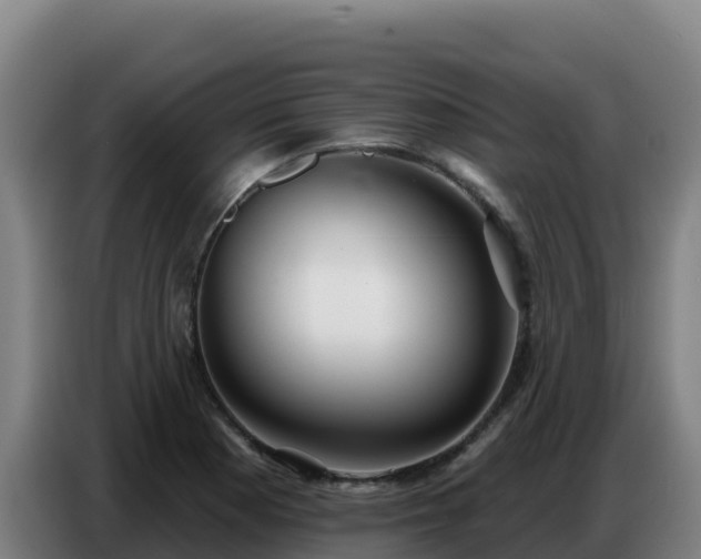 X0000086751177200704201719