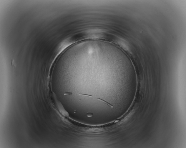 X0000086751178200704201719