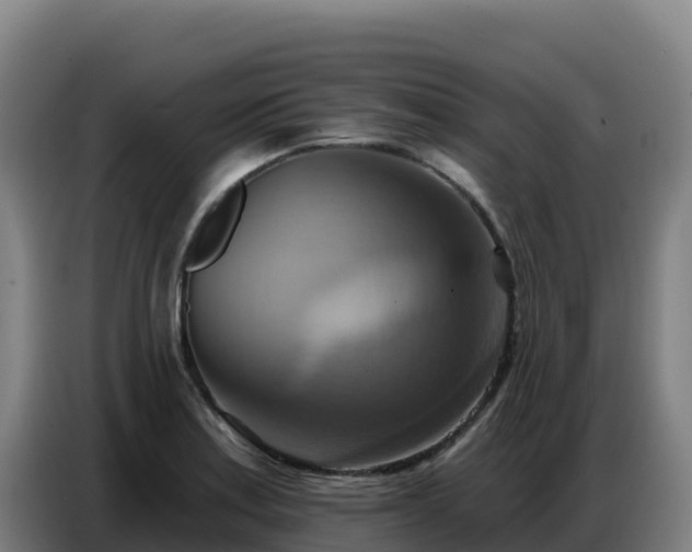 X0000086751179200704201719