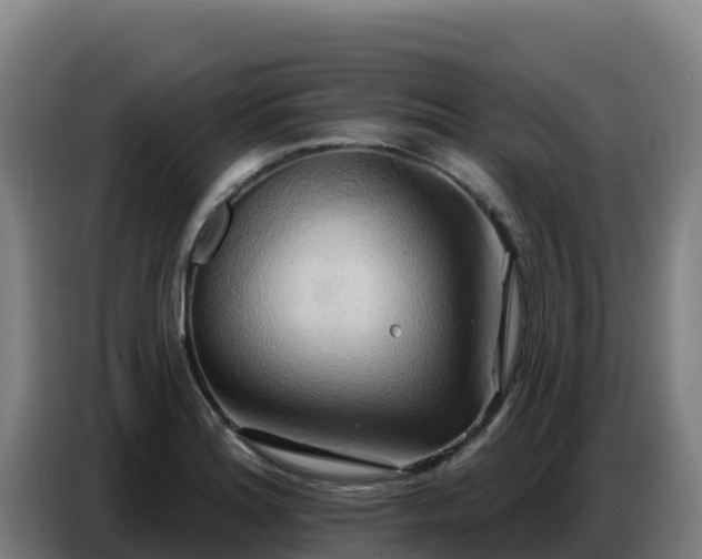 X0000086751180200704201719