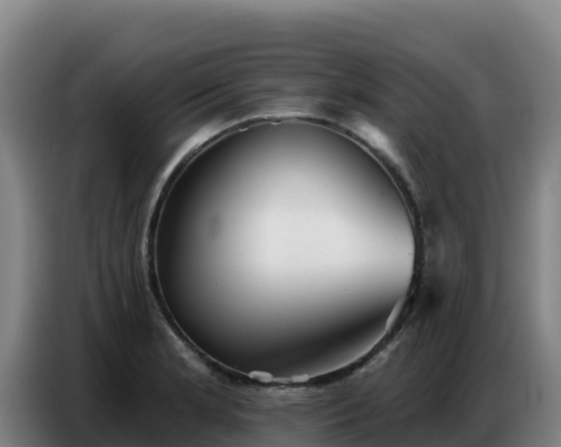 X0000086751181200704201719
