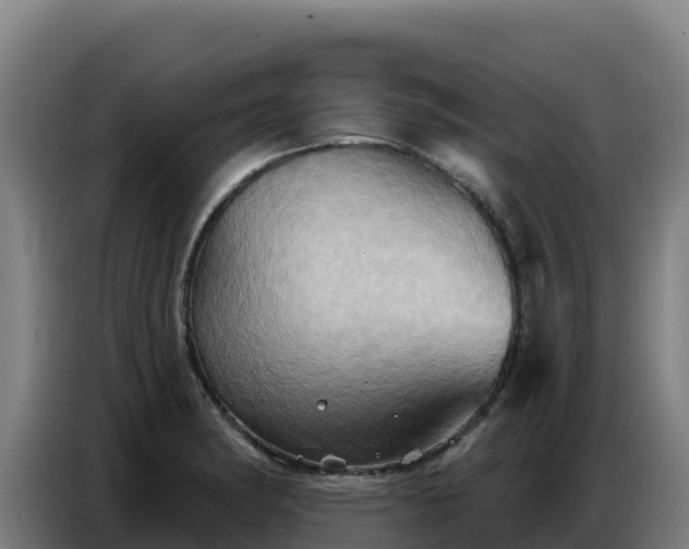 X0000086751182200704201719