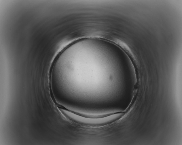 X0000086751184200704201719