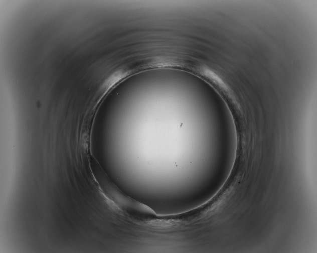 X0000086751185200704201719