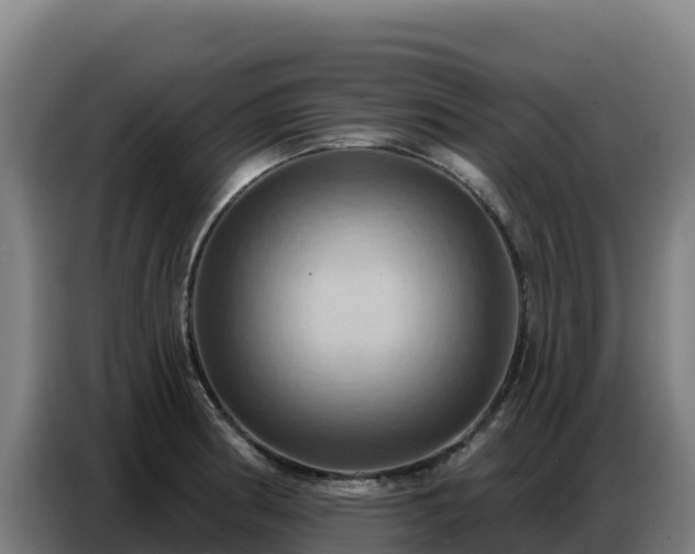 X0000086751186200704201719