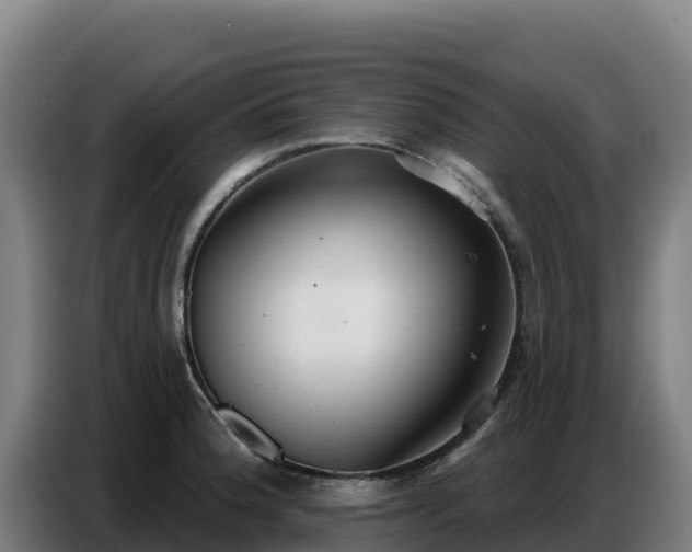X0000086751188200704201719