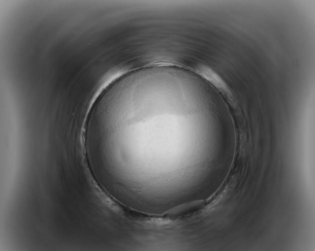 X0000086751190200704201719