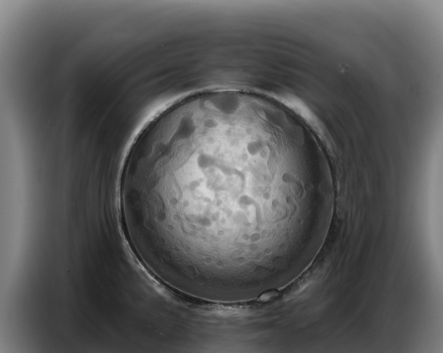X0000086751191200704201719