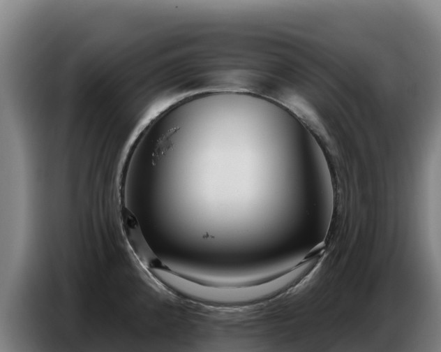 X0000086751192200704201719
