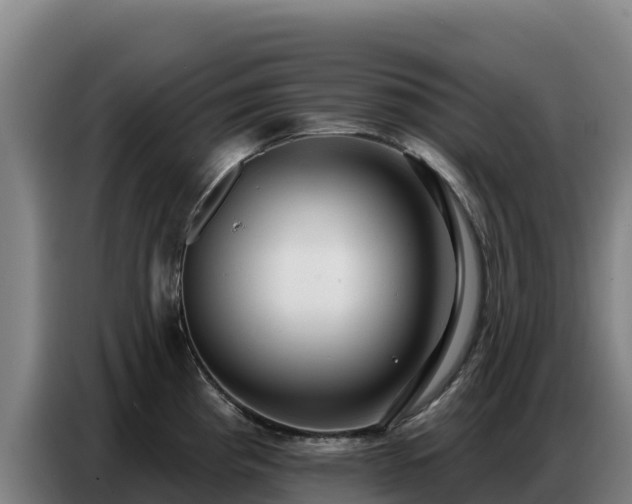 X0000086751193200704201719