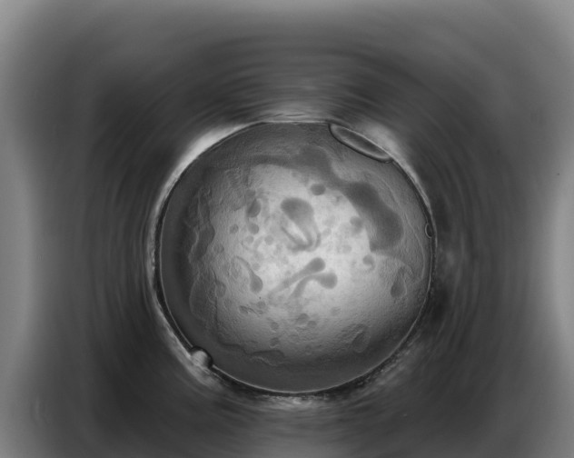 X0000086751195200704201719
