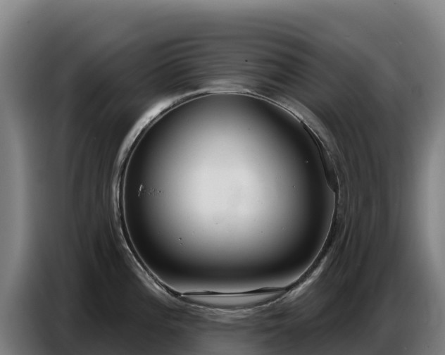 X0000086751196200704201719