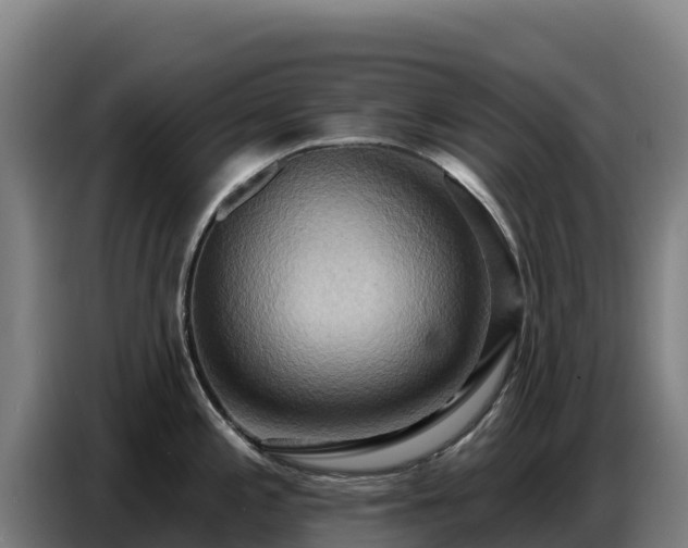 X0000086751197200704201719