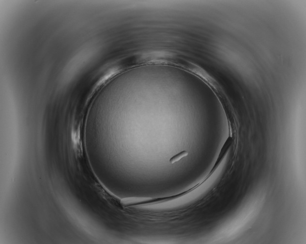 X0000086751198200704201719
