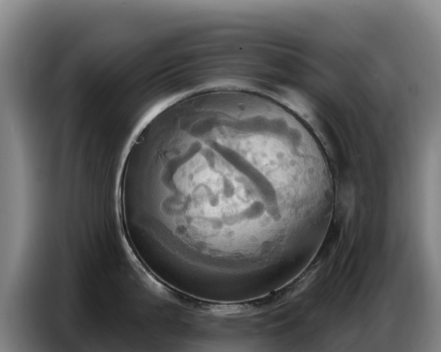 X0000086751199200704201719