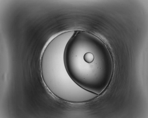 X0000086751200200704201719