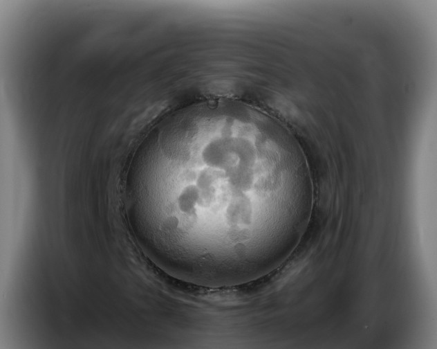 X0000086751201200704201718