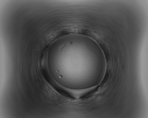 X0000086751202200704201718