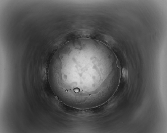 X0000086751203200704201718