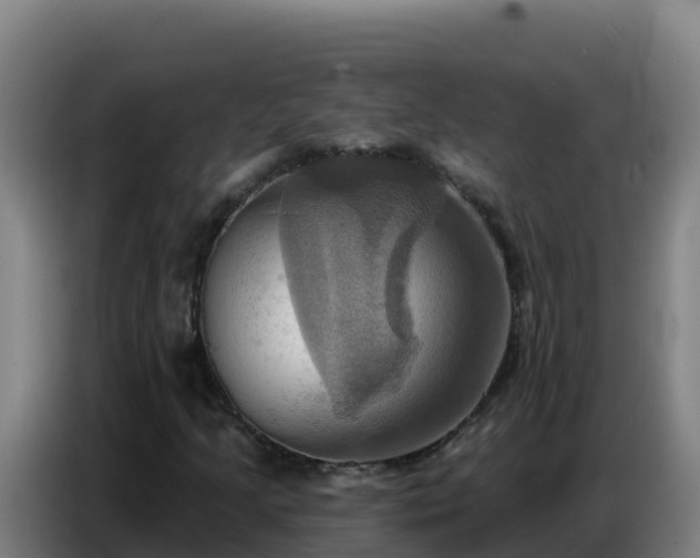X0000086751205200704201718