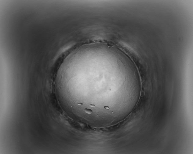 X0000086751207200704201718