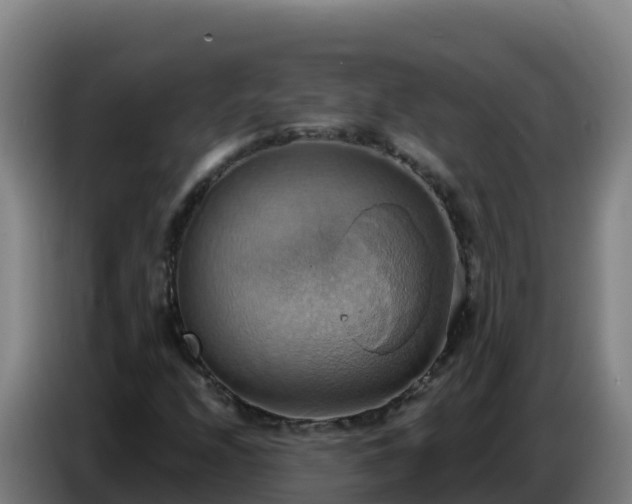 X0000086751208200704201718
