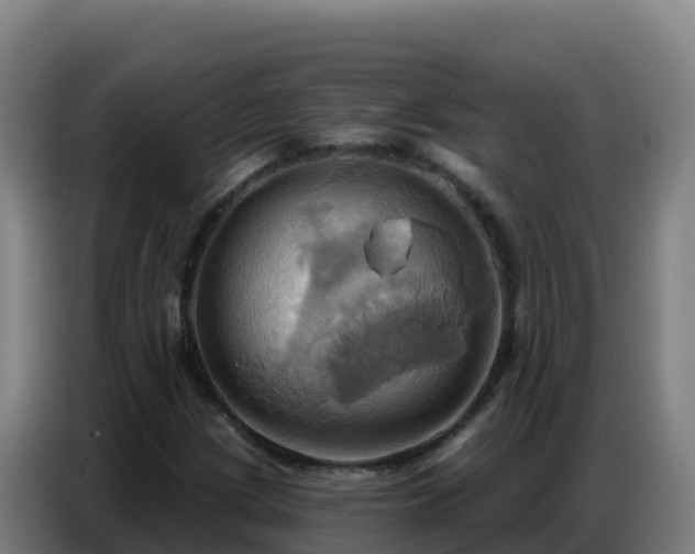 X0000086751209200704201718
