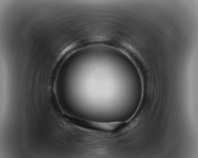 X0000086751210200704201718