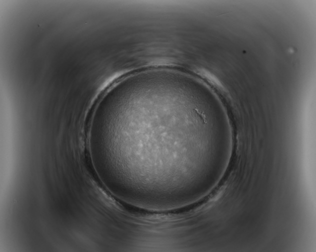 X0000086751212200704201718