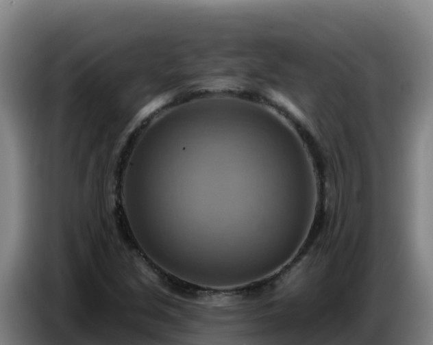 X0000086751213200704201719