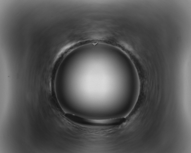 X0000086751214200704201719
