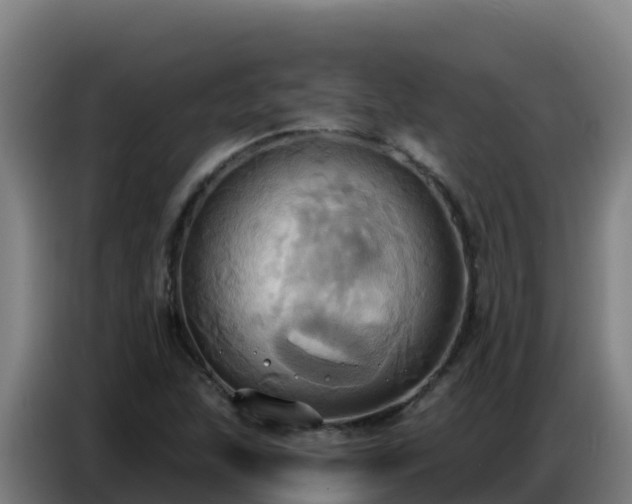 X0000086751215200704201719