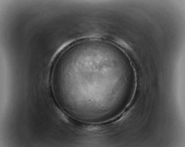 X0000086751216200704201719