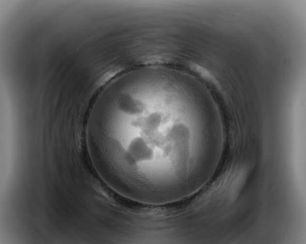X0000086751217200704201719