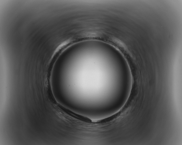 X0000086751218200704201719