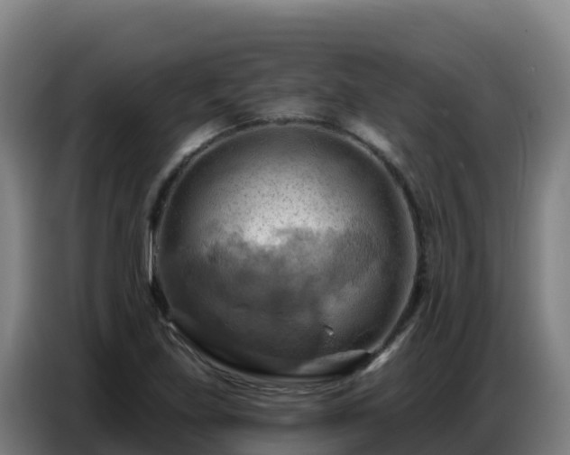 X0000086751219200704201719