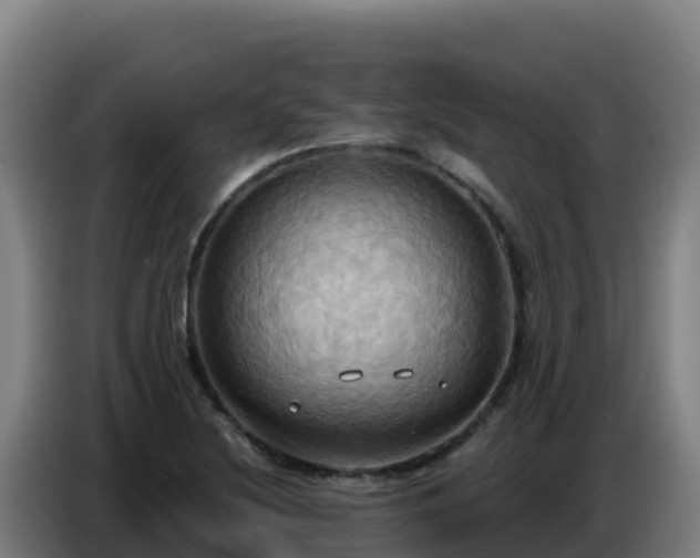 X0000086751220200704201719