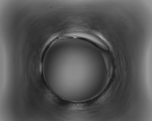 X0000086751221200704201719