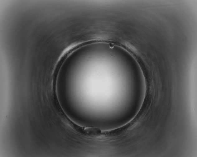 X0000086751222200704201719
