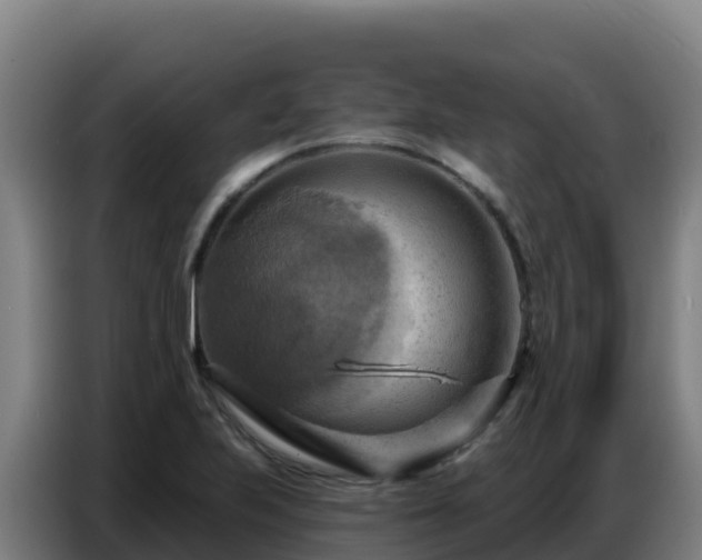 X0000086751223200704201719