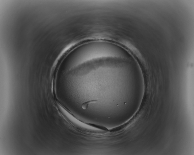 X0000086751224200704201719