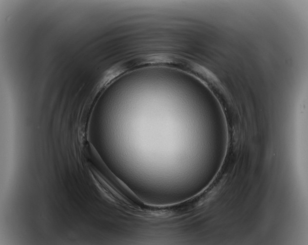 X0000086751225200704201719