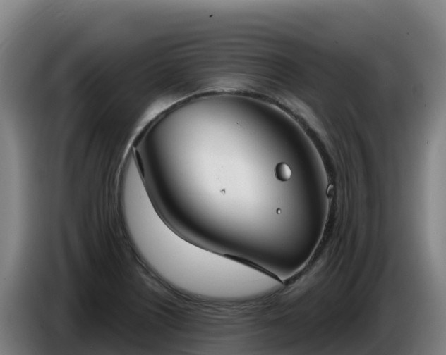 X0000086751226200704201719