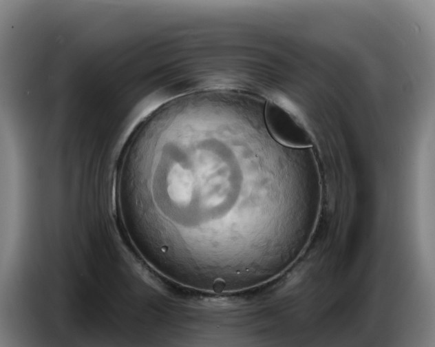 X0000086751227200704201719