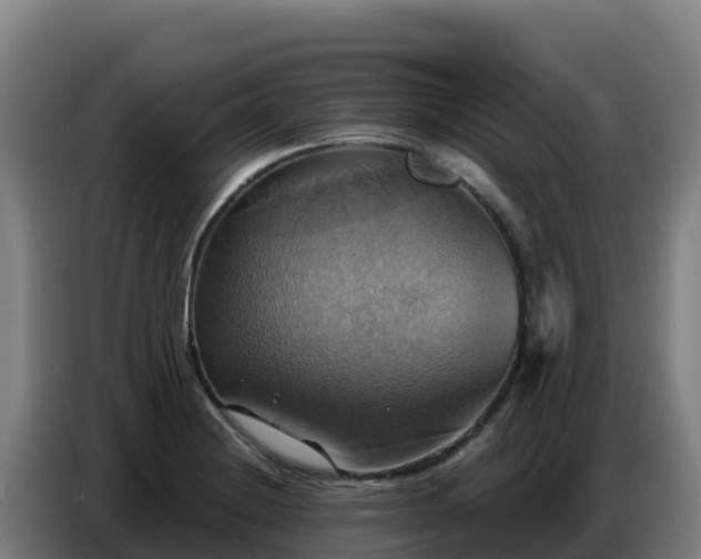 X0000086751228200704201719