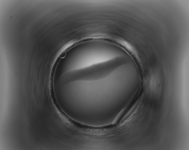 X0000086751229200704201719