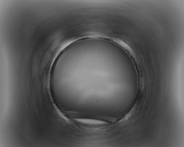 X0000086751231200704201719